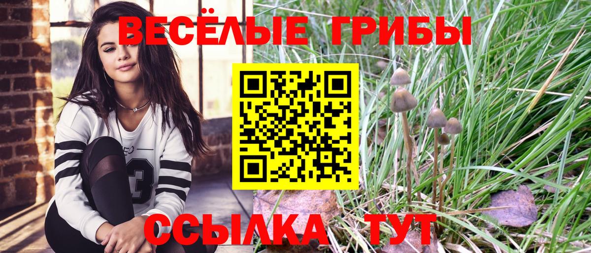 Семёнов  Галлюциногенные грибы Psilocybe  магазин    Вход с VPN  Галлюциногенные грибы ЛСД 